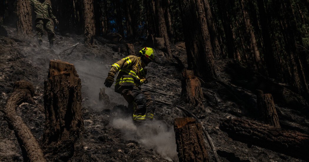 In a usual scenario of abundant rainfall, Colombia finds itself grappling with extensive wildfires.