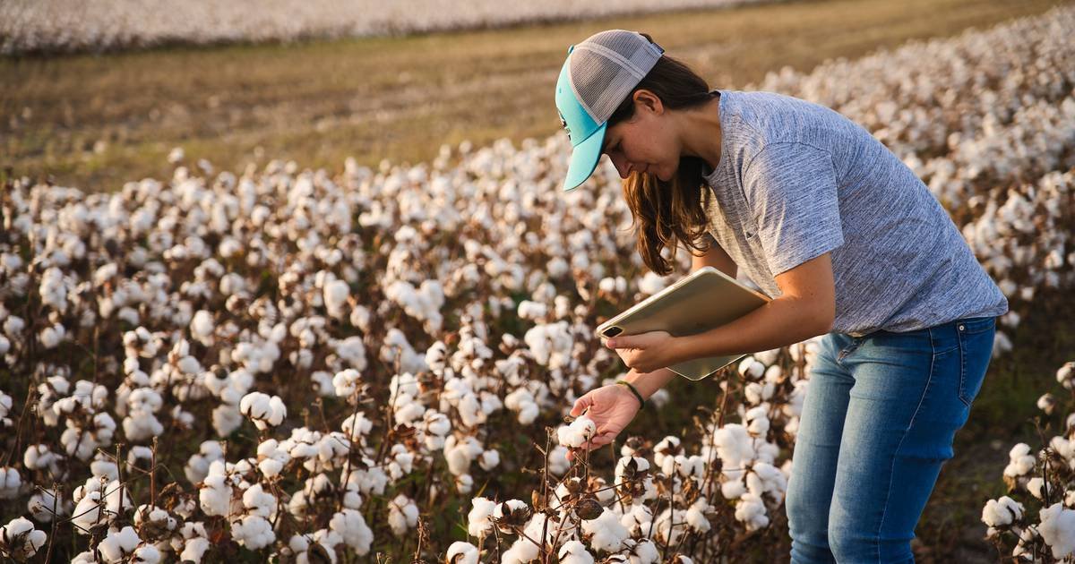 Promoting Sustainable Agriculture Practices Through the US Cotton Trust Protocol