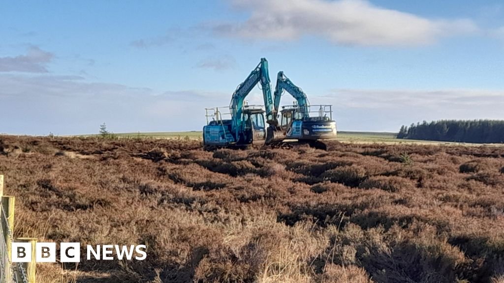 The extensive peat restoration project in Harwood Forest has been successfully accomplished.
