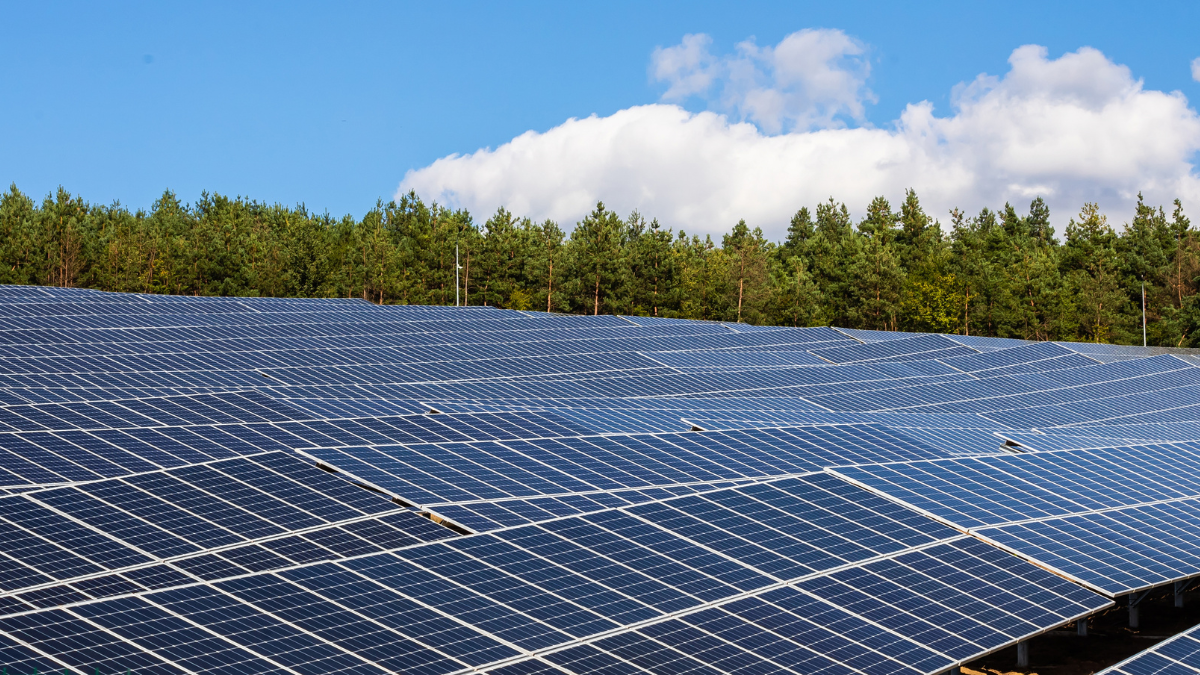 Vesper Energy has successfully obtained a $590 million financing package for its Hornet Solar Project, with the aim of supplying sustainable energy to communities in Texas.