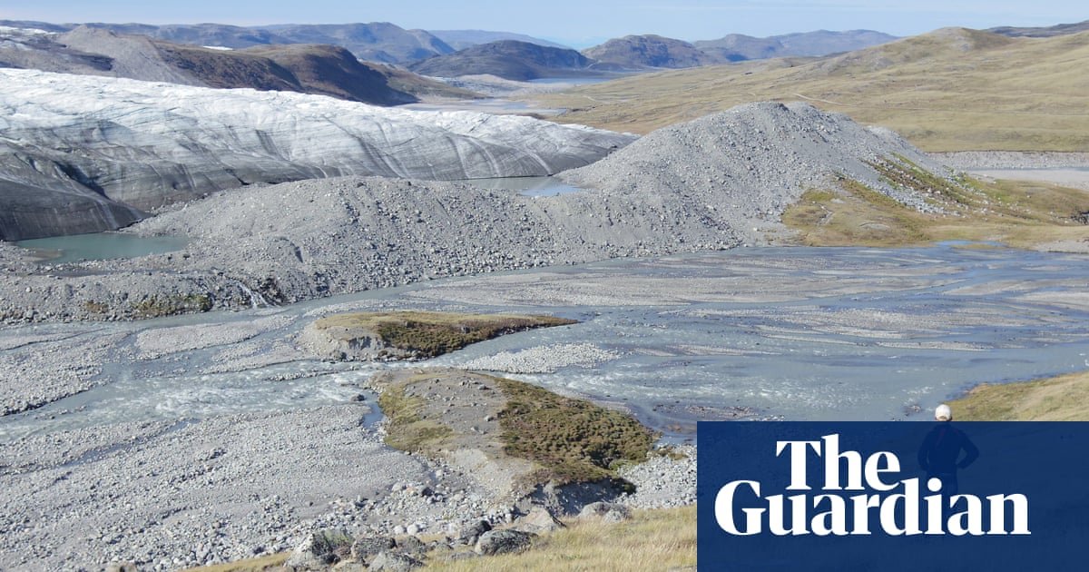 Greenland’s thriving plant life at the ice sheet raises concerns among climate experts