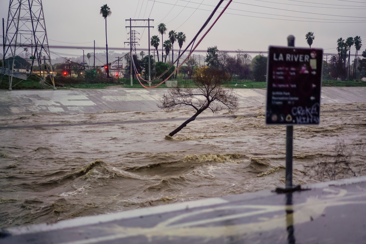 Forecasts indicate the conclusion of El Niño is imminent and a La Niña watch has been declared.