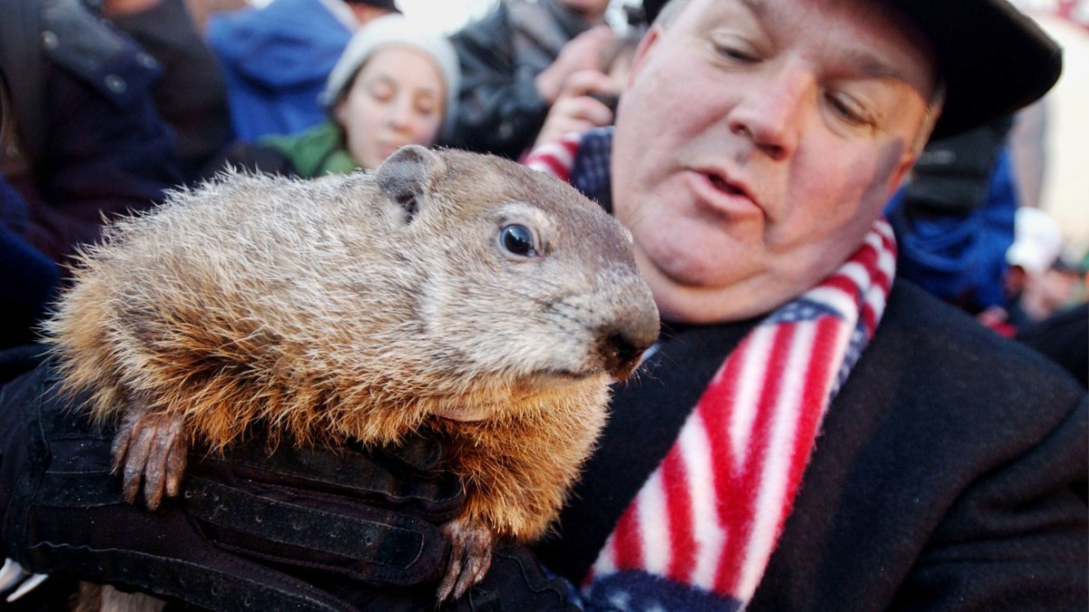 Punxsutawney Phil may attribute climate change as the cause of any inaccuracies – NBC Los Angeles.