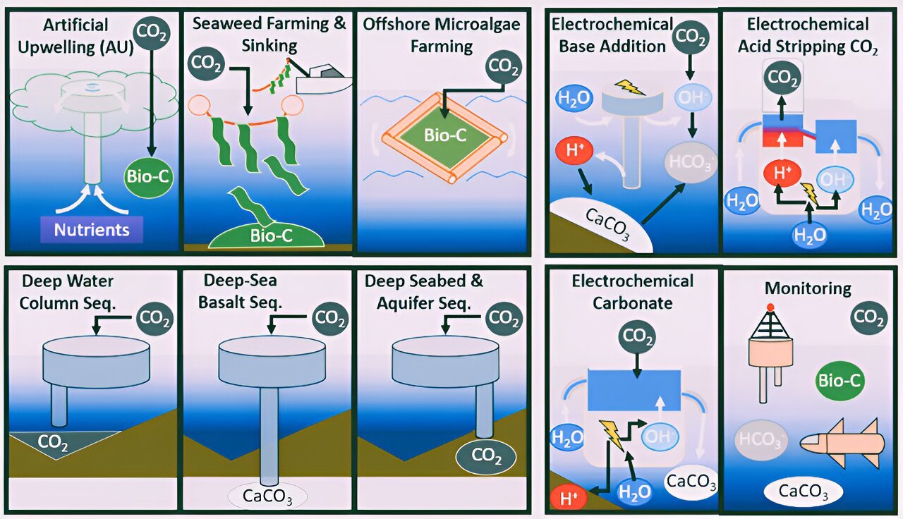 Is it possible for ocean energy to be used as a source of power for carbon removal?