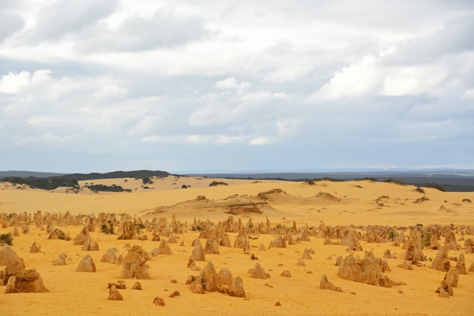 The current “hot drought” experienced in the West is unparalleled in over five centuries.