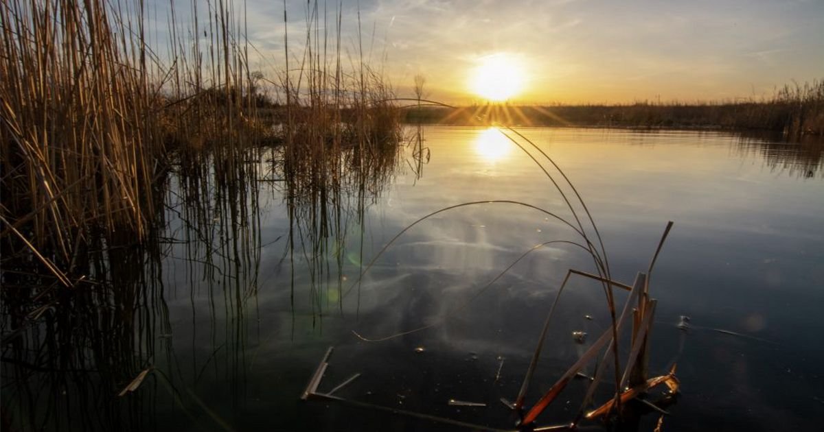 Nebraska’s Commitment to Sustainable Agriculture Conservation